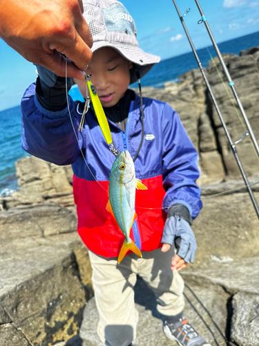 ツバスの釣果