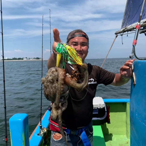 マダコの釣果