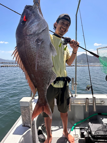 タイの釣果