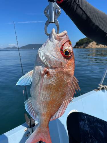 タイの釣果