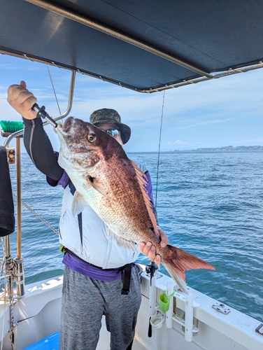 タイの釣果