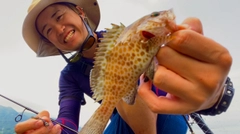 オオモンハタの釣果