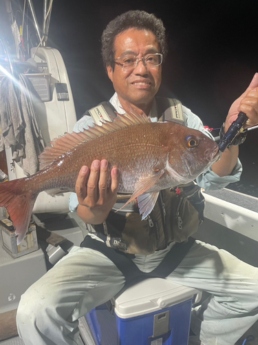 マダイの釣果