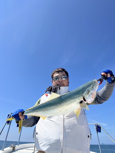 メジロの釣果