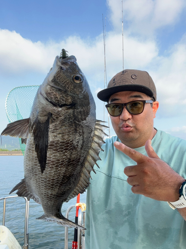 チヌの釣果