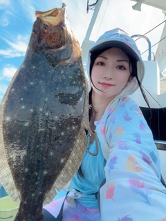 ヒラメの釣果