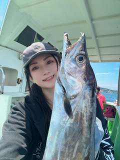 タチウオの釣果