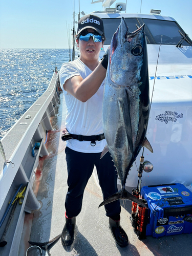 ビンチョウマグロの釣果