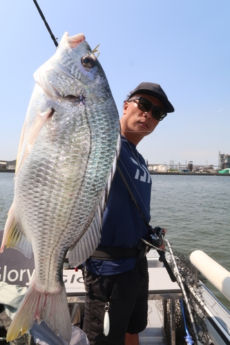 キビレの釣果