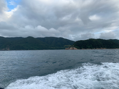 ケンサキイカの釣果