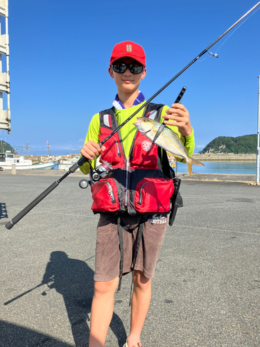 ショゴの釣果