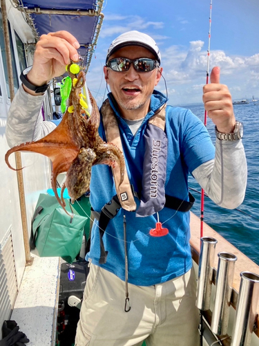 マダコの釣果