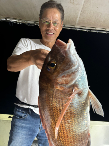 タイの釣果