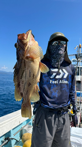 ホウキハタの釣果