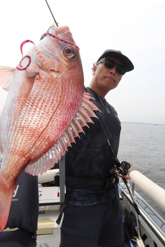 タイの釣果