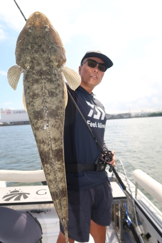 マゴチの釣果