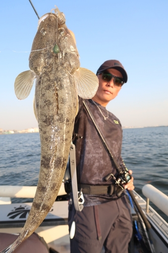 マゴチの釣果