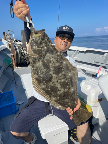 ヒラメの釣果