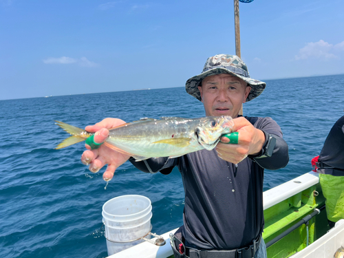 マアジの釣果