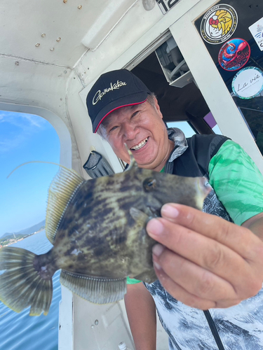 カワハギの釣果