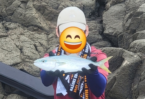 ヒラマサの釣果