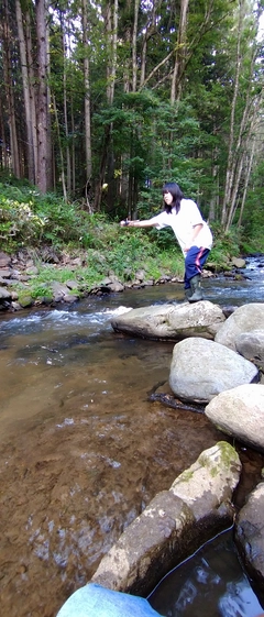 イワナの釣果