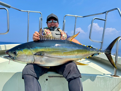 キハダマグロの釣果