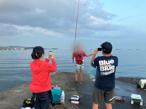 シロギスの釣果