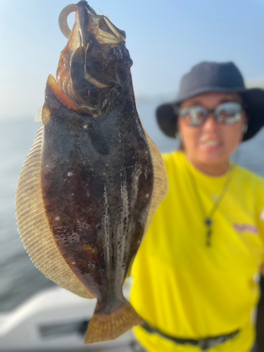 ヒラメの釣果