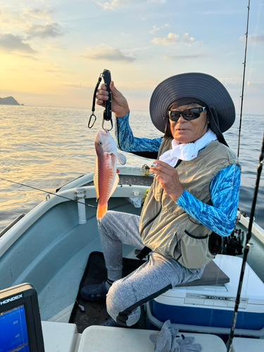 アマダイの釣果