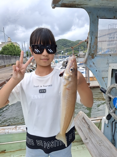 キスの釣果