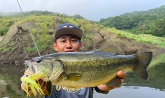 ラージマウスバスの釣果