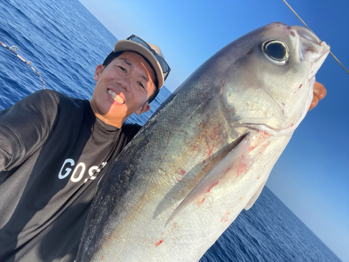 メダイの釣果