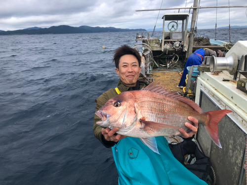 マダイの釣果