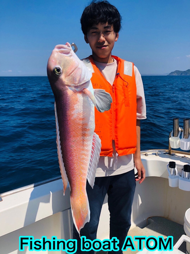 シロアマダイの釣果