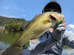 ブラックバスの釣果