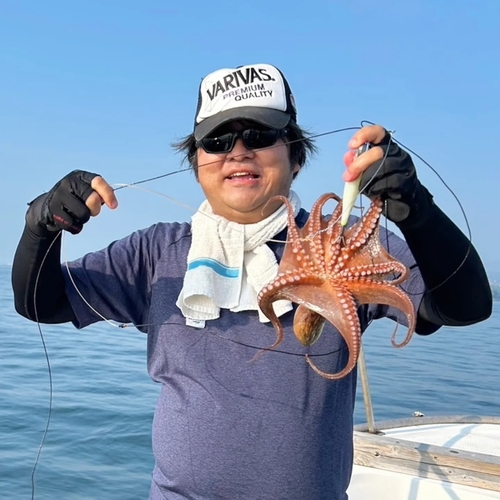 マダコの釣果