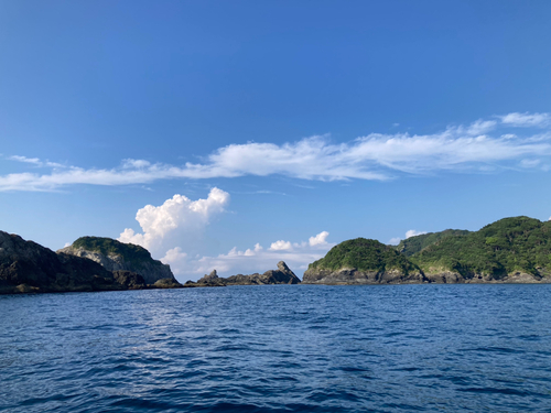 オオモンハタの釣果