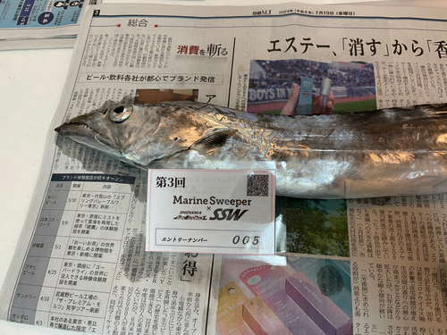 タチウオの釣果