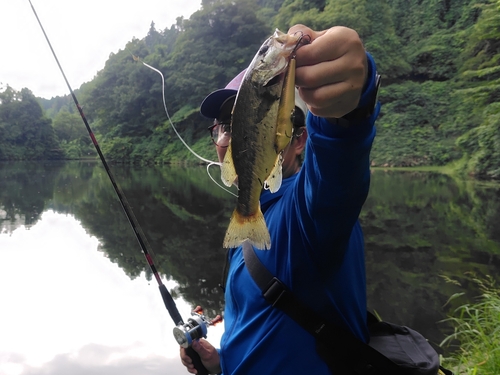 ラージマウスバスの釣果