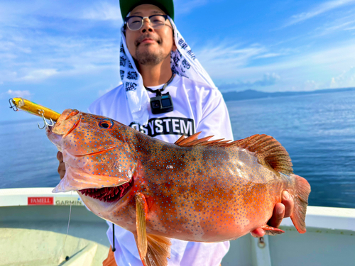 スジアラの釣果