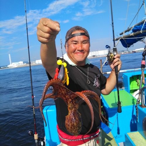 マダコの釣果