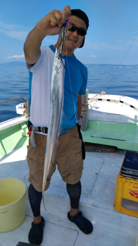 タチウオの釣果