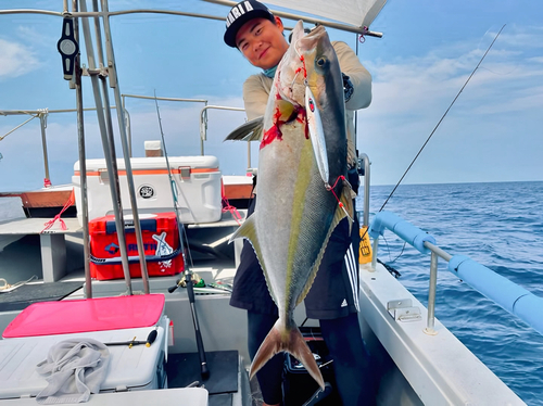 ヒレナガカンパチの釣果