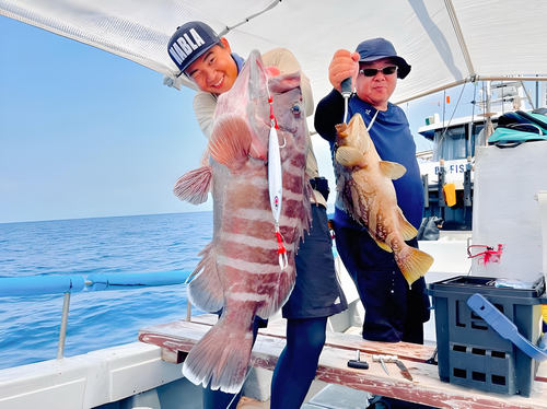 マハタの釣果