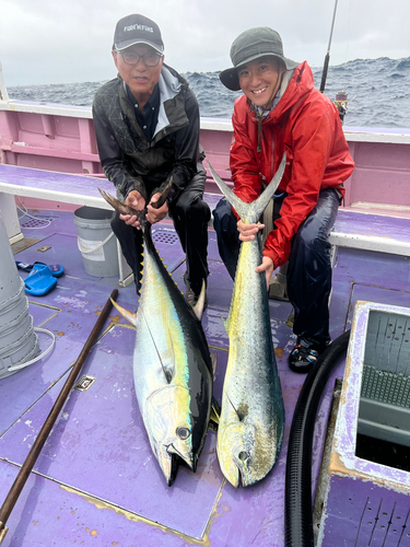 キハダマグロの釣果