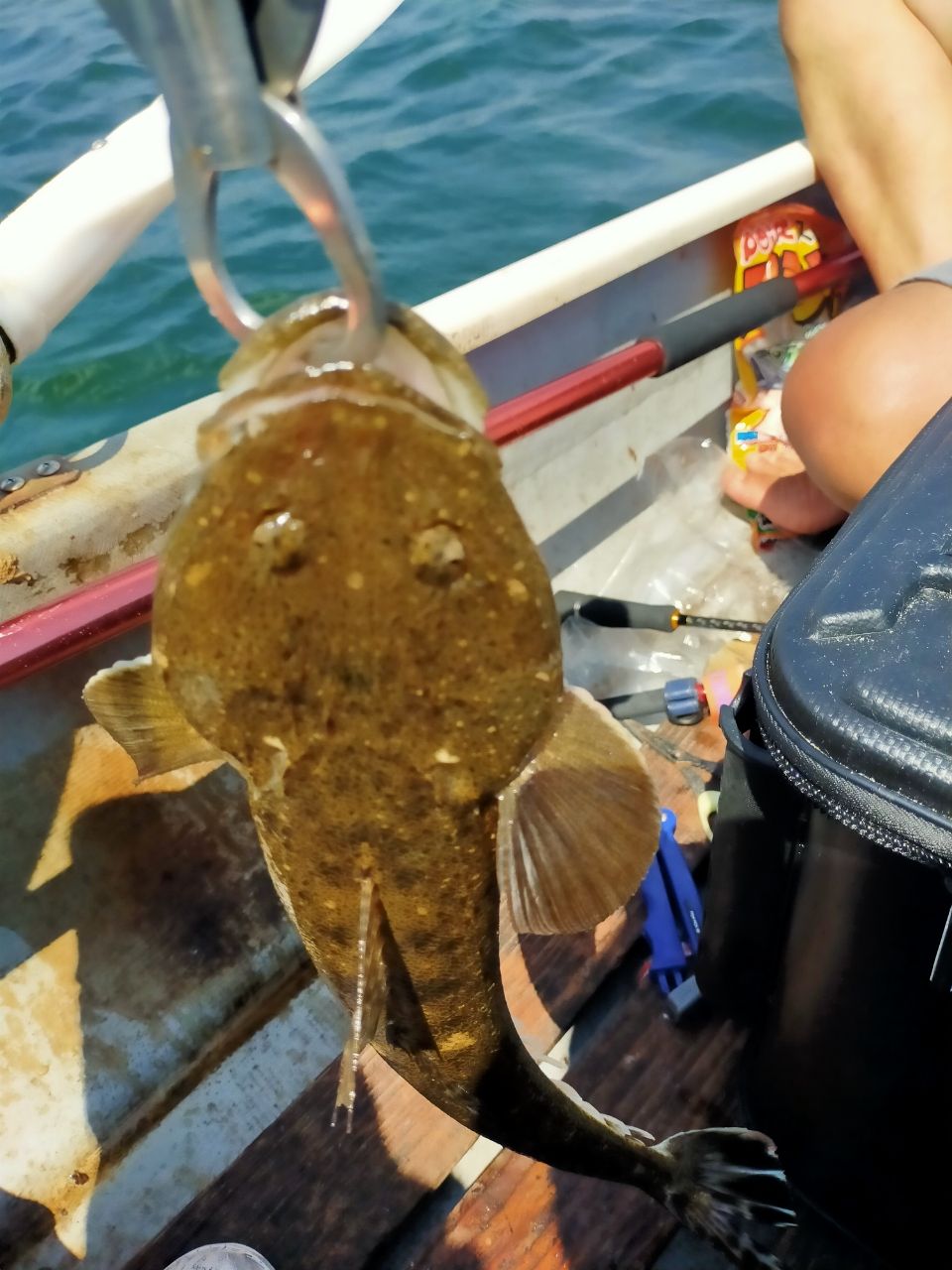 コニコニさんの釣果 2枚目の画像