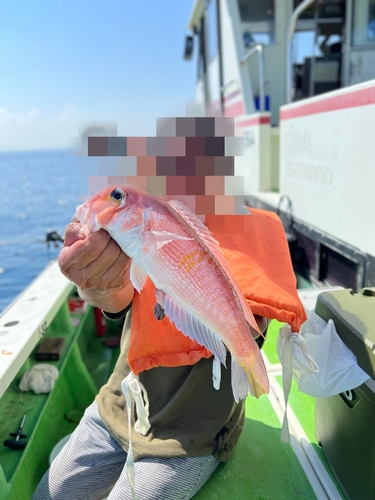 アマダイの釣果