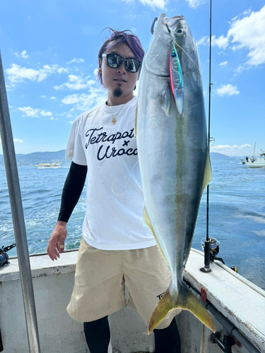 ハマチの釣果