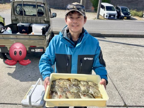 カワハギの釣果